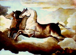 Cavalli Di Castiglione